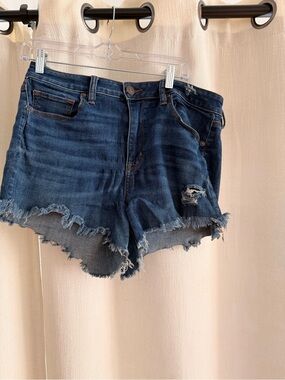 American Eagle Outfitters Dark Blue Distressed Denim Cutoff Shorts